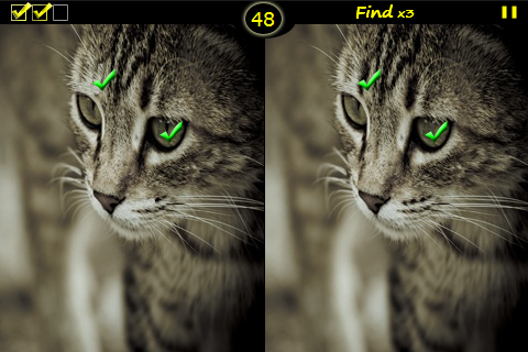 sp2.png